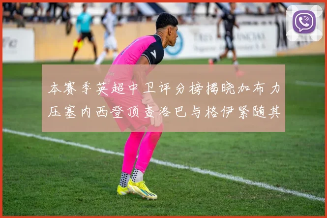 本赛季英超中卫评分榜揭晓加布力压塞内西登顶查洛巴与格伊紧随其后
