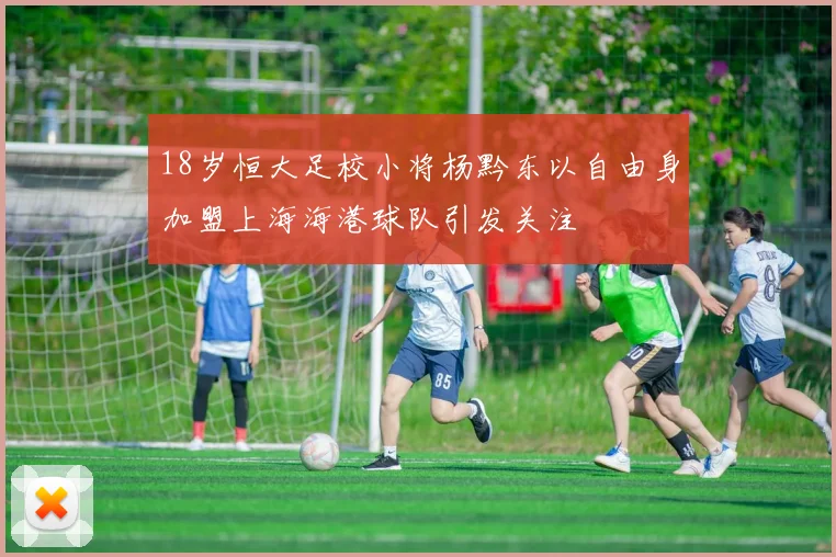 18岁恒大足校小将杨黔东以自由身加盟上海海港球队引发关注