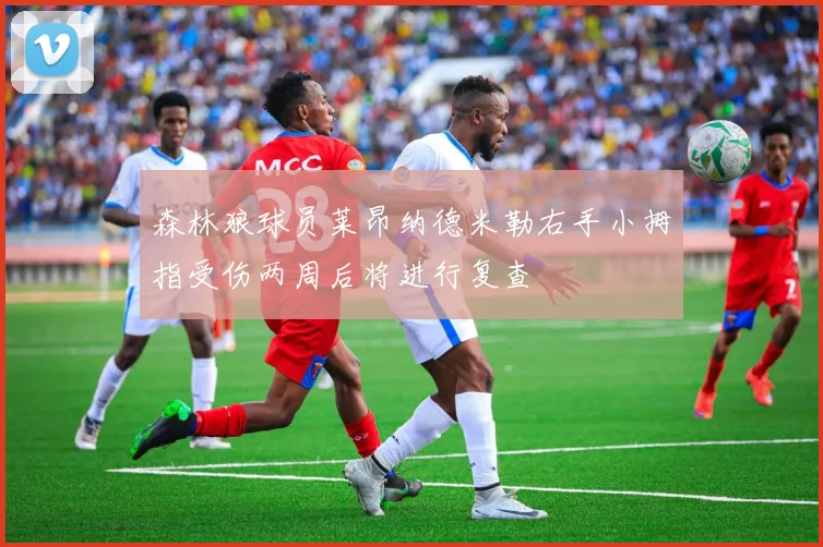 森林狼球员莱昂纳德米勒右手小拇指受伤两周后将进行复查